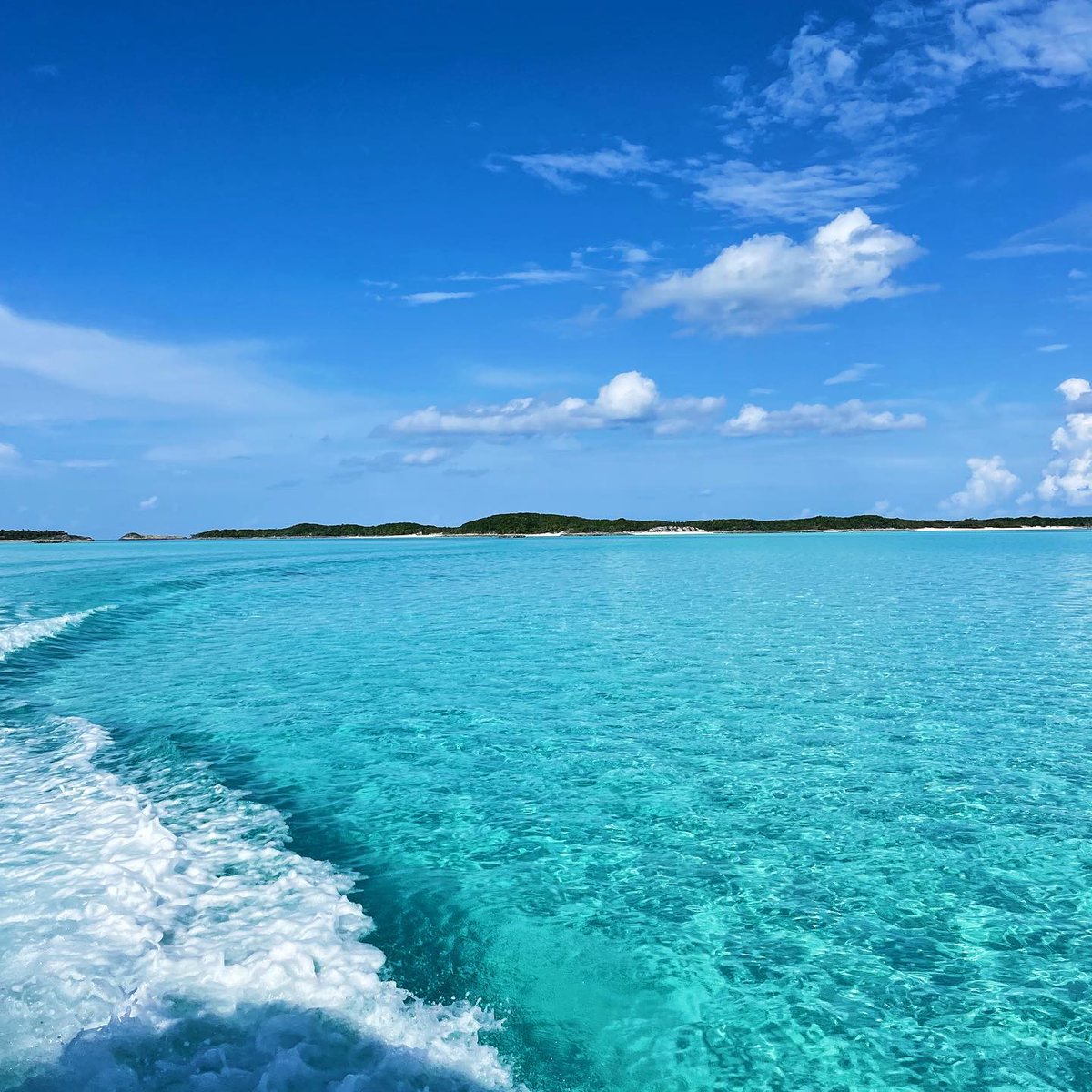 BeeyondBoats's tweet image. Daily Dose of Blue 💙