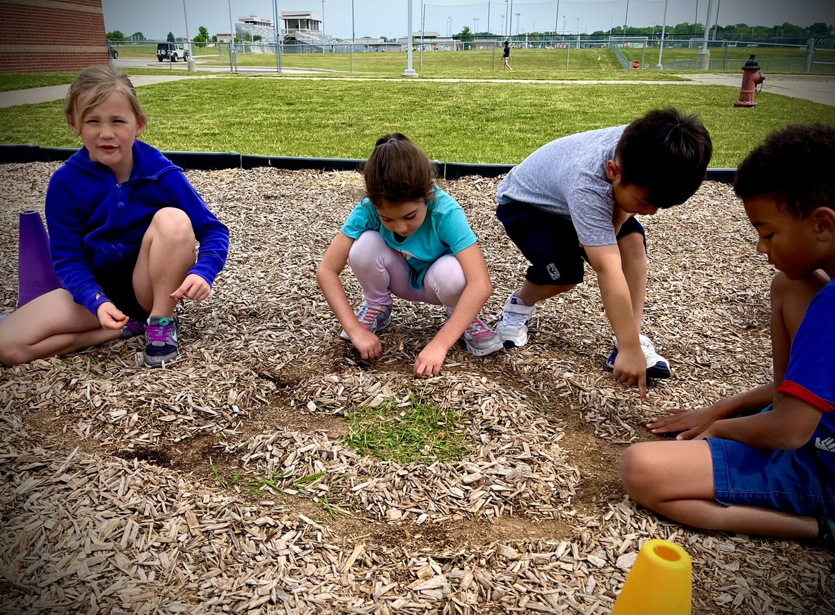 ☀️🪺🧐BP Summer School Egg Watch 2023 has begun! We can’t wait for these babies to hatch! The kids are busy preparing paths and grass nests for the babies! 😂🥰🐣<a href="/bp_mustangs/">BellPrairie Mustang</a>