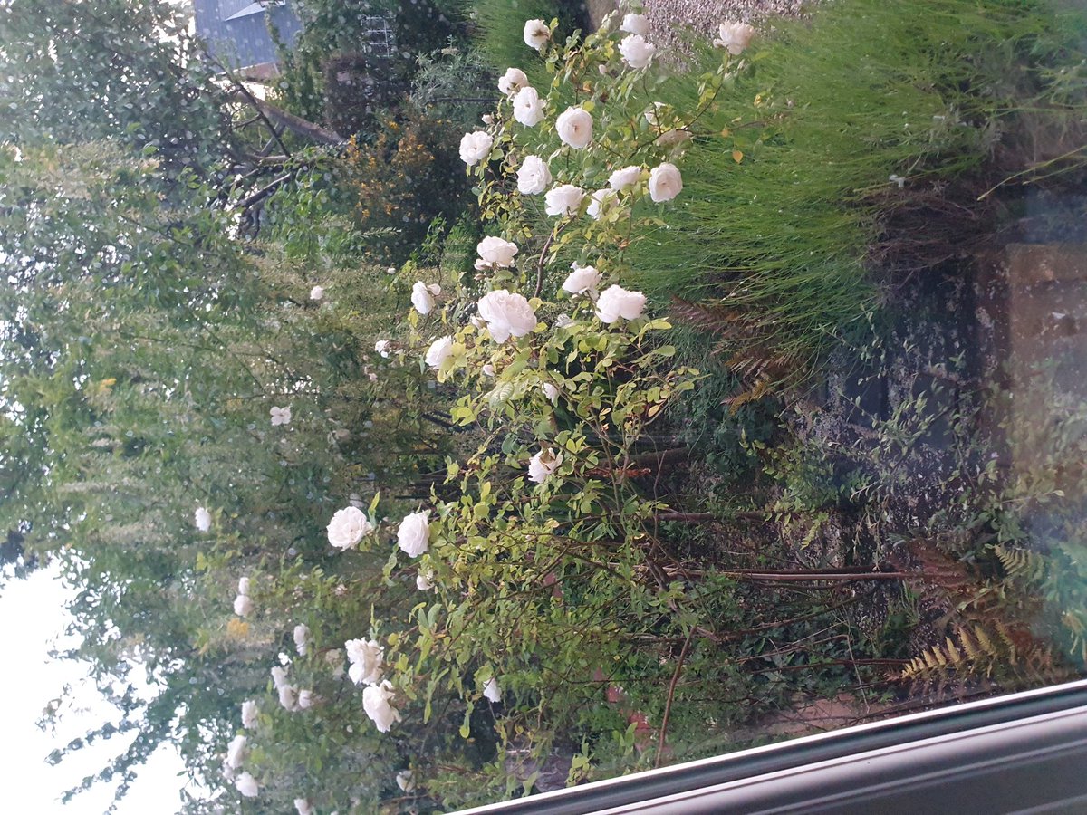 Paul Malin tweet media