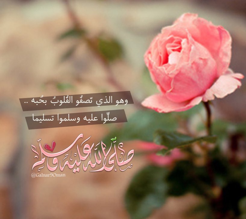 Galnar9Oman🇴🇲 (@galnar9oman) on Twitter photo 