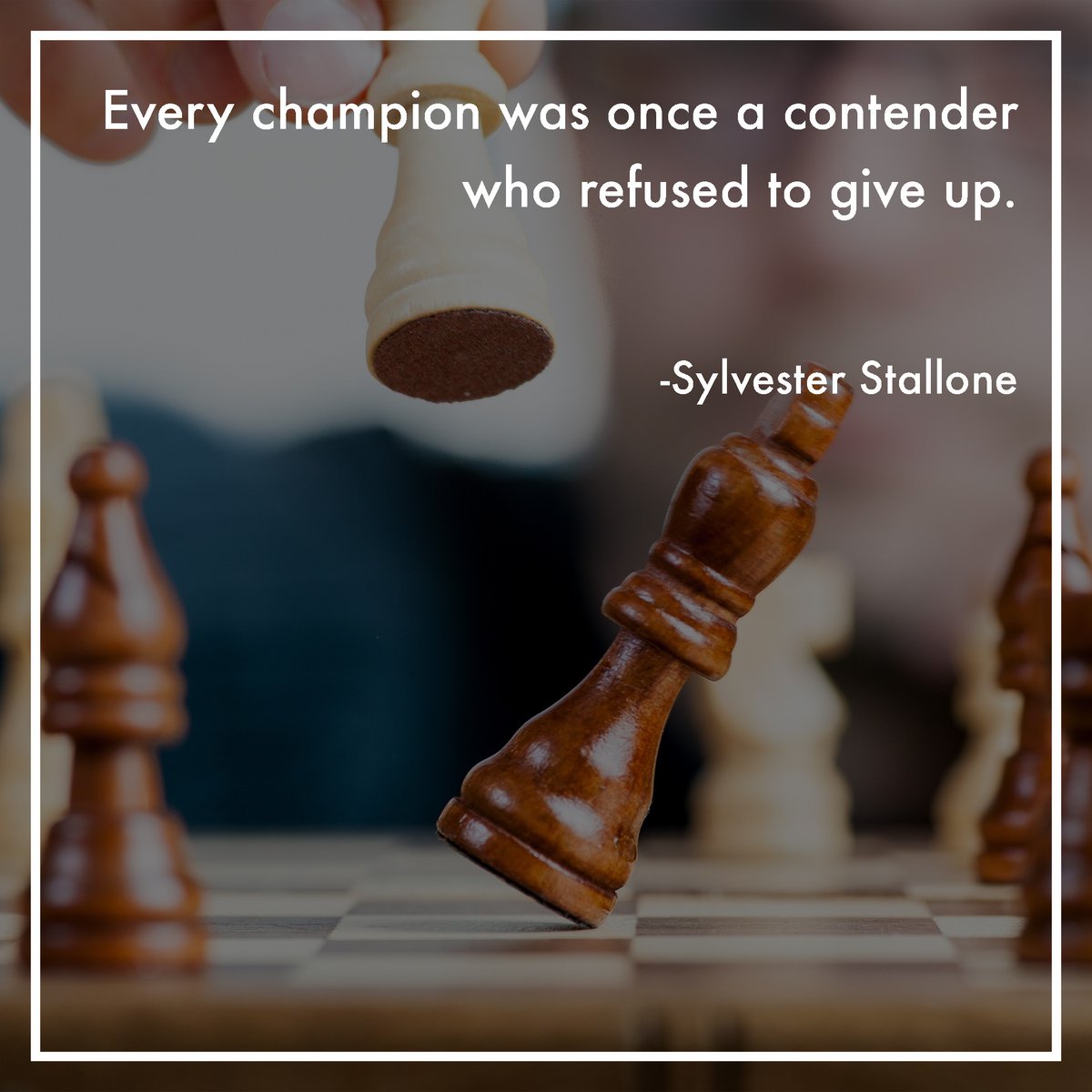 bookedbytina's tweet photo. No obstacle wants to stand in the way of something that is relentless.
#sylvesterstallone #chess #chamption #boxer #rocky #hollywood #movie #film #actor https://t.co/xQysIPi846