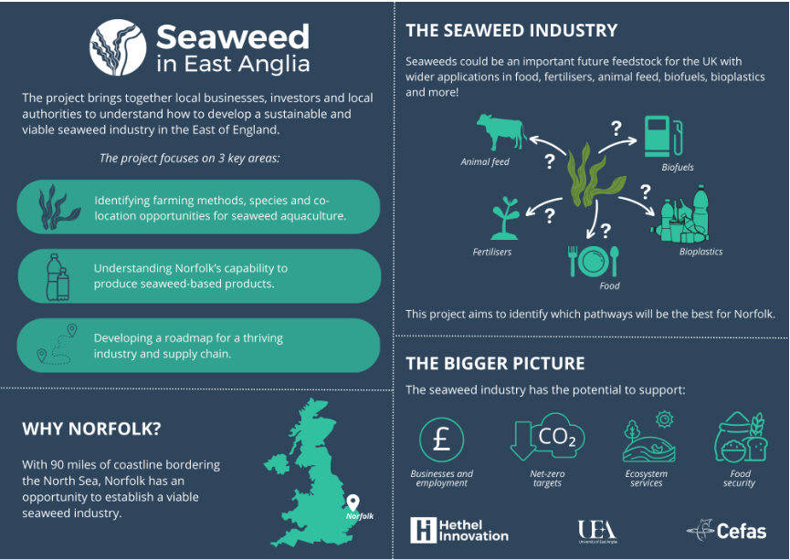 wormbotherer's tweet photo. You wouldn't normally associate #seaweed with Norfolk's sandy shores, but @dictioca @cliggy83 @GillMalin and @HIL_Updates are on a mission to explore the possibilities for algaculture on our doorstep.
https://t.co/8kdMlREZjT
@ccsUsEA @CefasGovUK @ueaenv https://t.co/2cAzwNV7qE