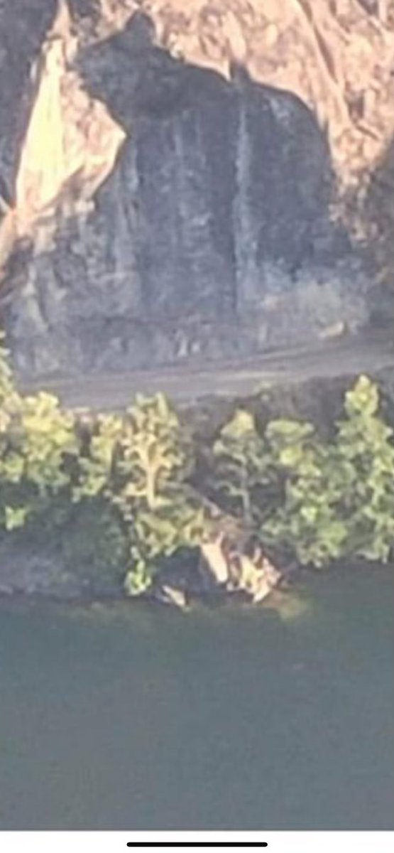 Dave Colyn tweet media