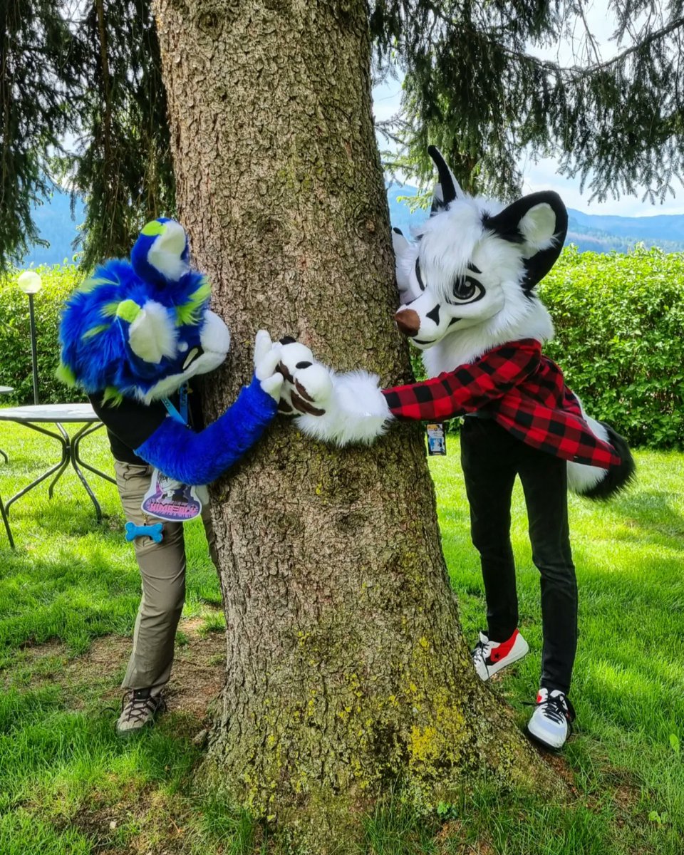 WhoYouLeastExp_'s tweet photo. Oh, I found a bunny!🐇

Much fun with @Kim_Trik_Hoof
at @FurizonEvents

🧵 @StuffedTailsFur &amp; @SucculentSuits 

#furry #furryfandom #fursuit #furizon #furizonbeyond https://t.co/IYVMEZcO95