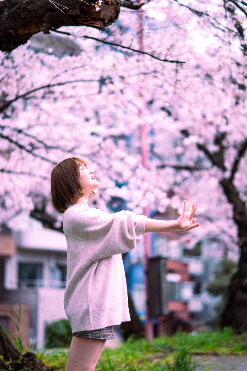 ienista84's tweet photo. model @LJK_VN

#出井麻莉子 #麻莉子お嬢様 #麻莉子病 #ポートレート #portrait #photography #ファインダー越しの私の世界 #桜 #violinist #Nikon #Z6II #Lightroom

さくらー🌸☺️ https://t.co/UK4xSiA3ff