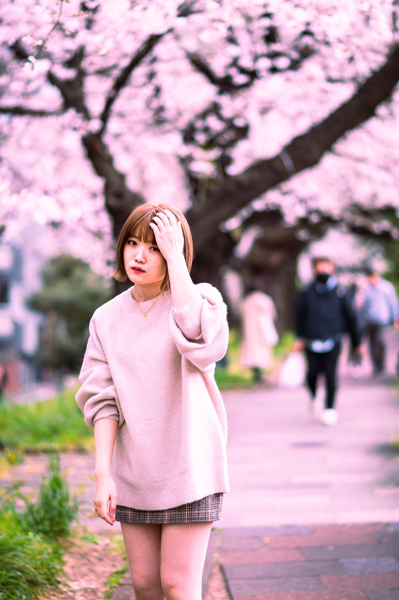 ienista84's tweet photo. model @LJK_VN

#出井麻莉子 #麻莉子お嬢様 #麻莉子病 #ポートレート #portrait #photography #ファインダー越しの私の世界 #桜 #violinist #Nikon #Z6II #Lightroom

さくらー🌸☺️ https://t.co/UK4xSiA3ff