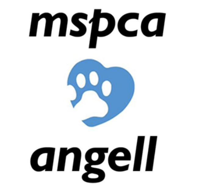 bamm1391's tweet photo. According to MSPCA-Angell non-profit organization, “about 15 percent of veal calves are slaughtered at less than 3 weeks old and are classified as ‘bob’ veal for low-grade products like hot dogs and frozen dinners.” #39canimals https://t.co/GoVDmdKqHV