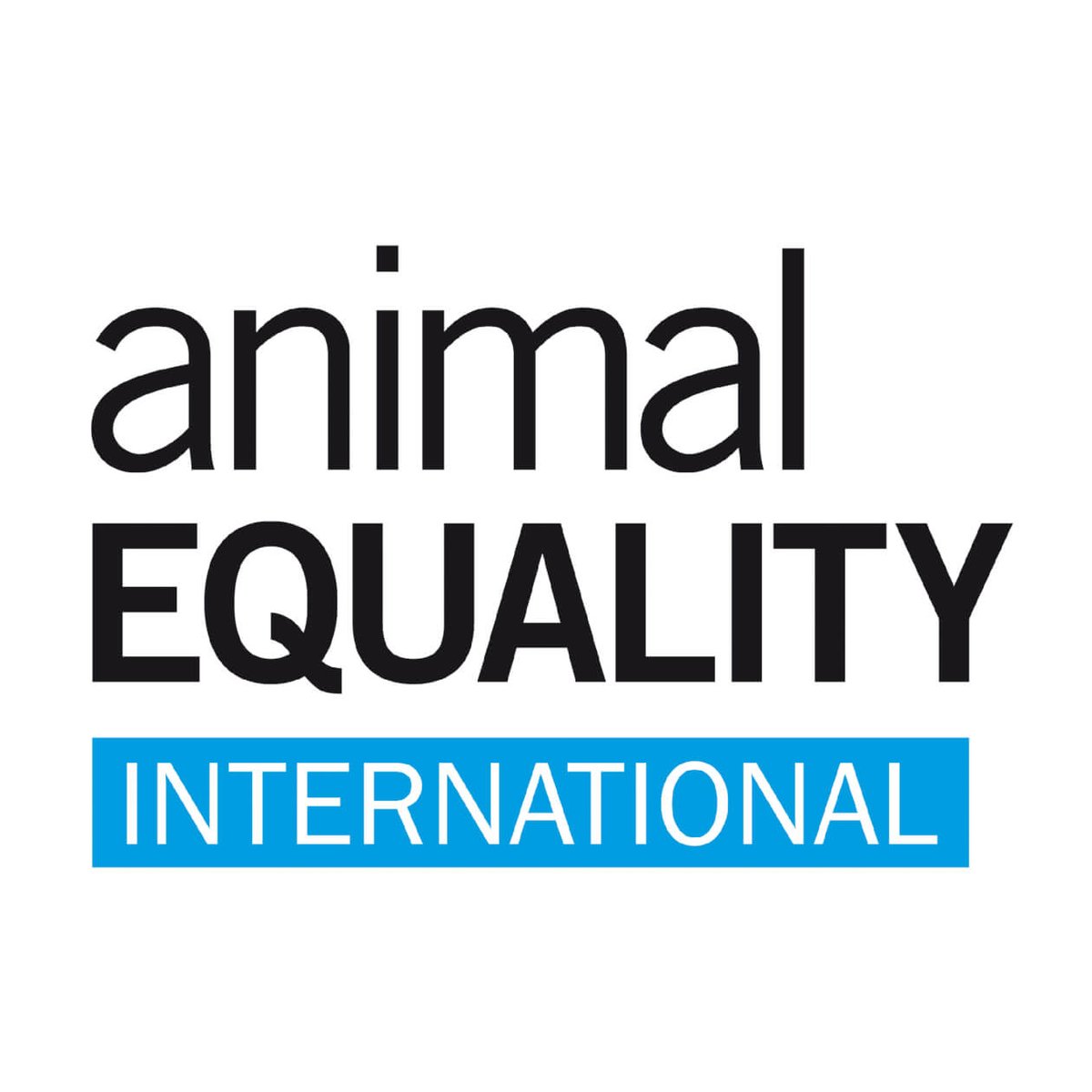bamm1391's tweet photo. The Animal Equality Organization was founded in 2006 by Sharon Núñez, Jose Valle, and Javier Moreno with the purpose of educating humans about the inhumane treatment of animals and using the money they raise to protect these animals. #39canimals https://t.co/bADP7IDO2V