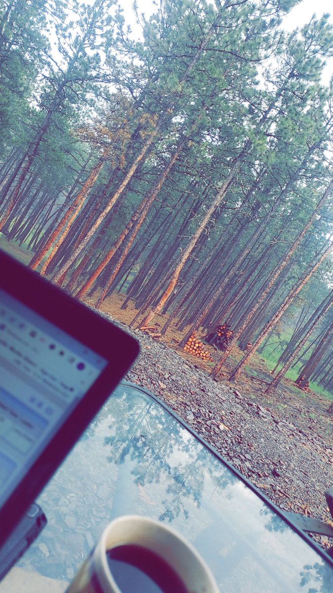 605MrsMueller's tweet image. Day 6 of #APLit reading features a thunderstorm. #aplitchat