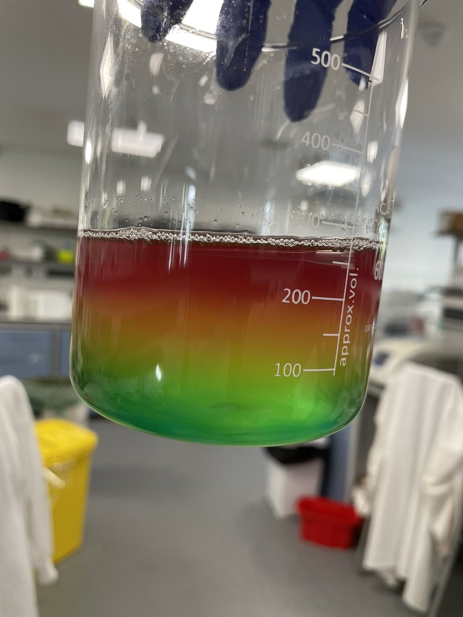 Discarded leftover BCA Assay dye to media waste beaker and got a rainbow 🌈