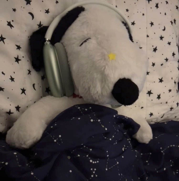 starface tweet media