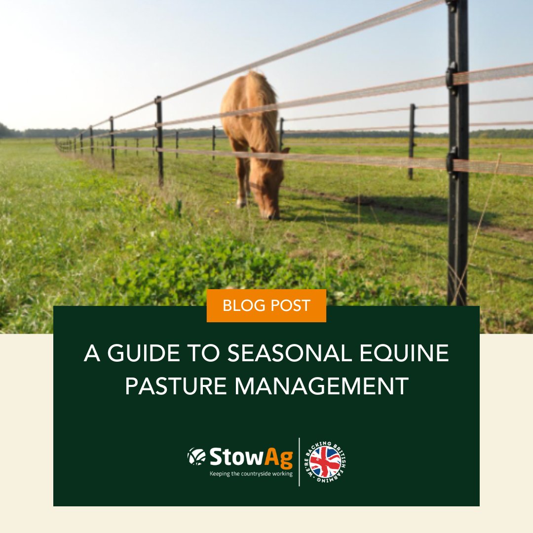 Are you an equestrian looking to take your pasture management to the next level?

Taking care of your pasture is critical to keeping your horses happy and healthy. 

Read our blog to gain an insight into effectively managing equine pasture: fal.cn/3yW4a