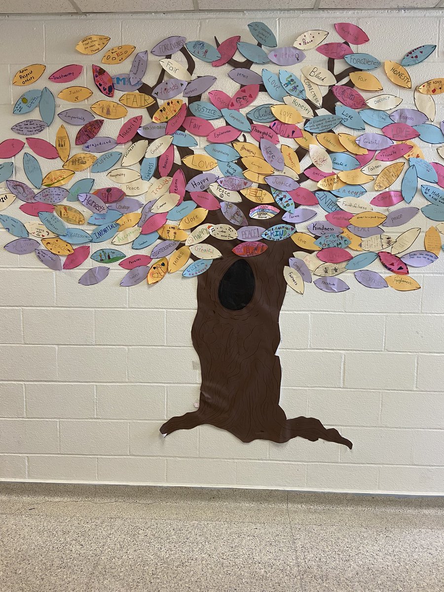 St. Elizabeth Catholic School tweet media