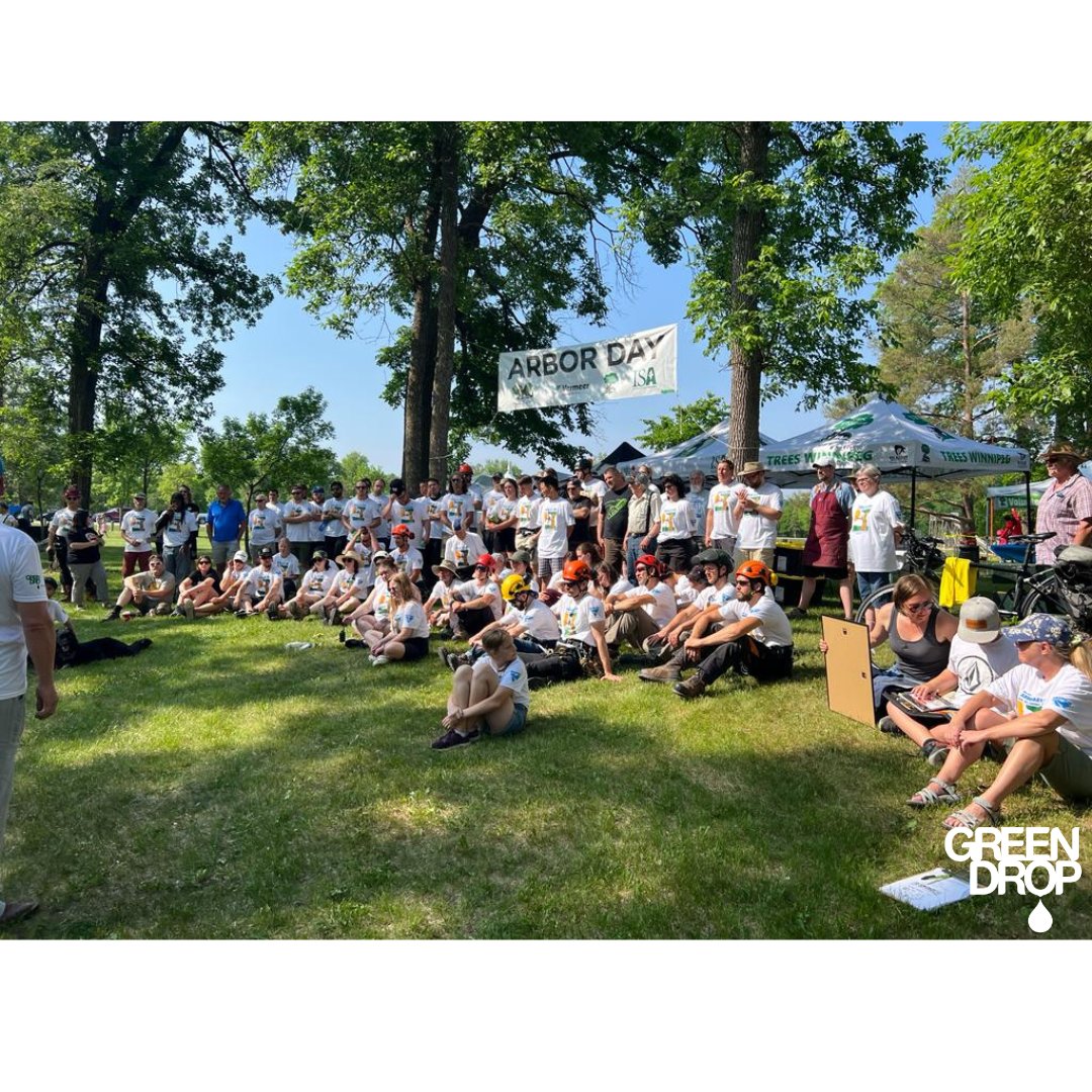 GreenDropTrees's tweet image. For Green Drop Tree Care, Arbor Day is a BIG deal! And wow 🤩 , what a fantastic turnout this year!! Here&apos;s to Arbor Day 2023! Another huge success! 🌳 ❤️ 

#GreenDropTreeCare #ArborDay2023 #Green Drop #TreePlanting #TreeClimbing #Volunteering #TreeCareCommunity