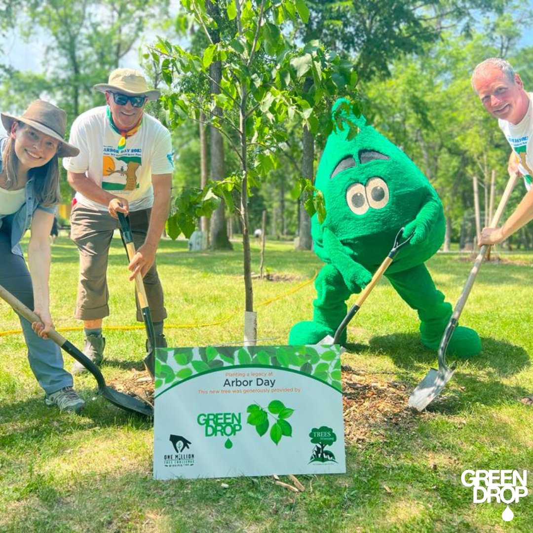 GreenDropTrees's tweet image. For Green Drop Tree Care, Arbor Day is a BIG deal! And wow 🤩 , what a fantastic turnout this year!! Here&apos;s to Arbor Day 2023! Another huge success! 🌳 ❤️ 

#GreenDropTreeCare #ArborDay2023 #Green Drop #TreePlanting #TreeClimbing #Volunteering #TreeCareCommunity