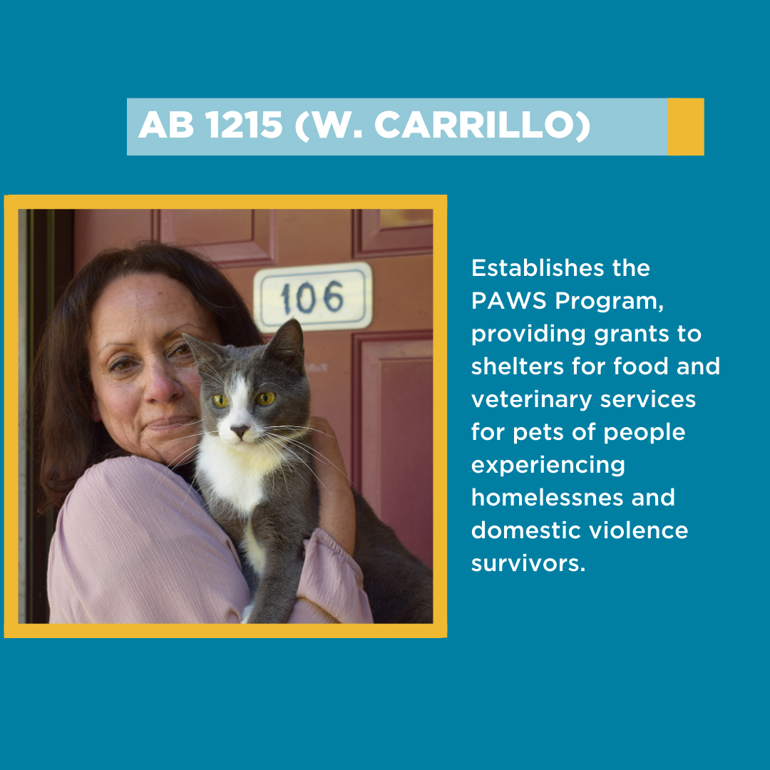 The People Concern tweet media