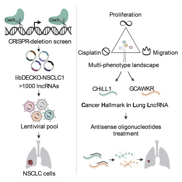 Cell Press tweet media