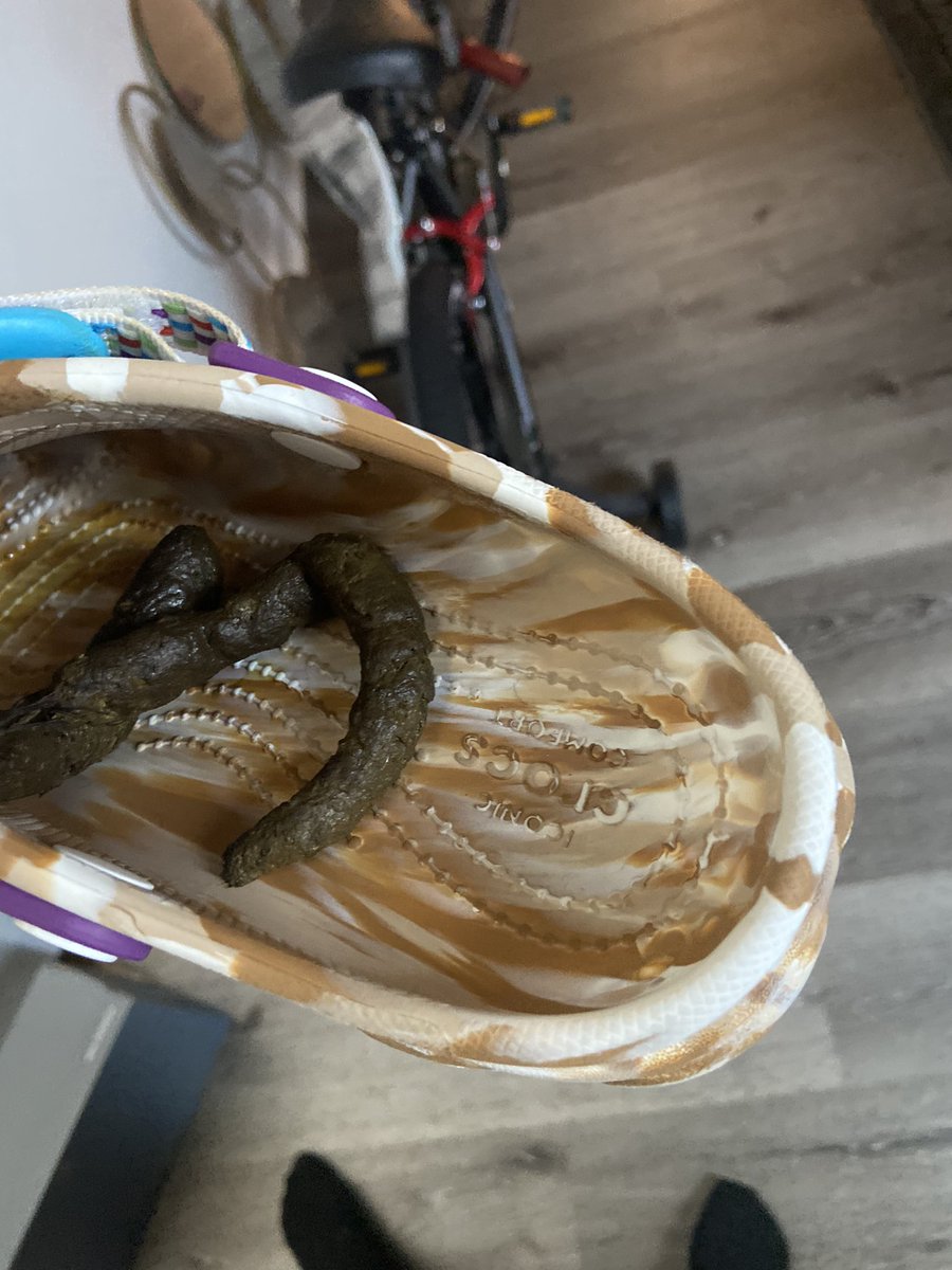 on Twitter "this dog got me so fucked up i’m finna kill him😒"