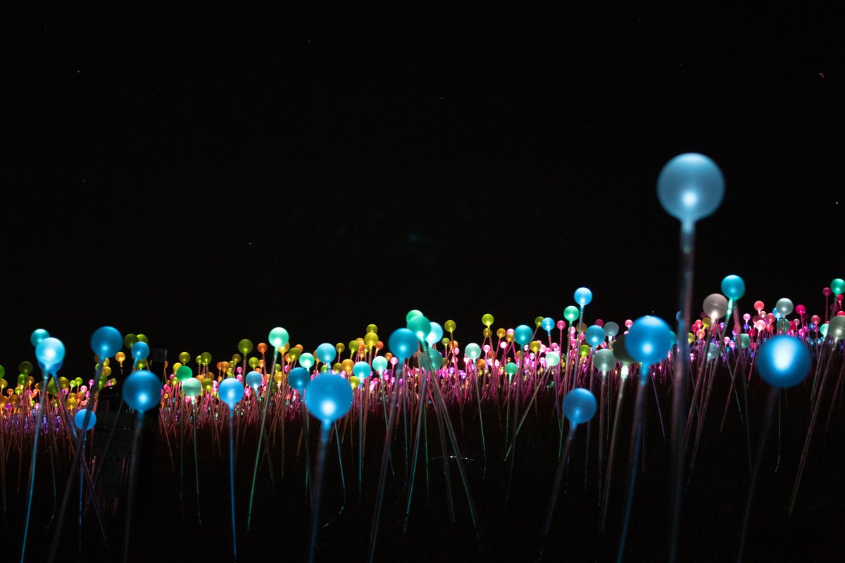 End Father's Day on a high note and bring the whole family to Sensorio! Enjoy live music by local artists and experience four stunning exhibits by <a href="/bruce_munro/">Bruce Munro Studio</a>. Our Mercado Sensorio also offers a place to gather and relax for casual dining. More info: sensoriopaso.com.