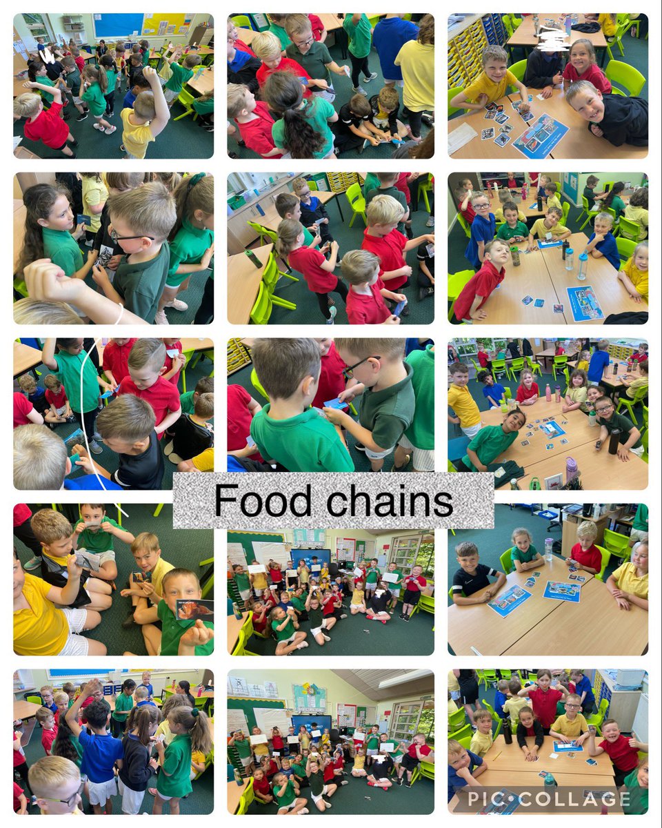 wideyshark's tweet photo. Yesterday, we were investigating marine food chains 🐟 🦈. We then sorted some interesting fish into categories of ‘you could eat’ and ‘you couldn’t eat’. We were very surprised to hear about some of the things people eat around the world! 🍱 @wideyseal @wideyseahorse https://t.co/ORpd1wxlIB
