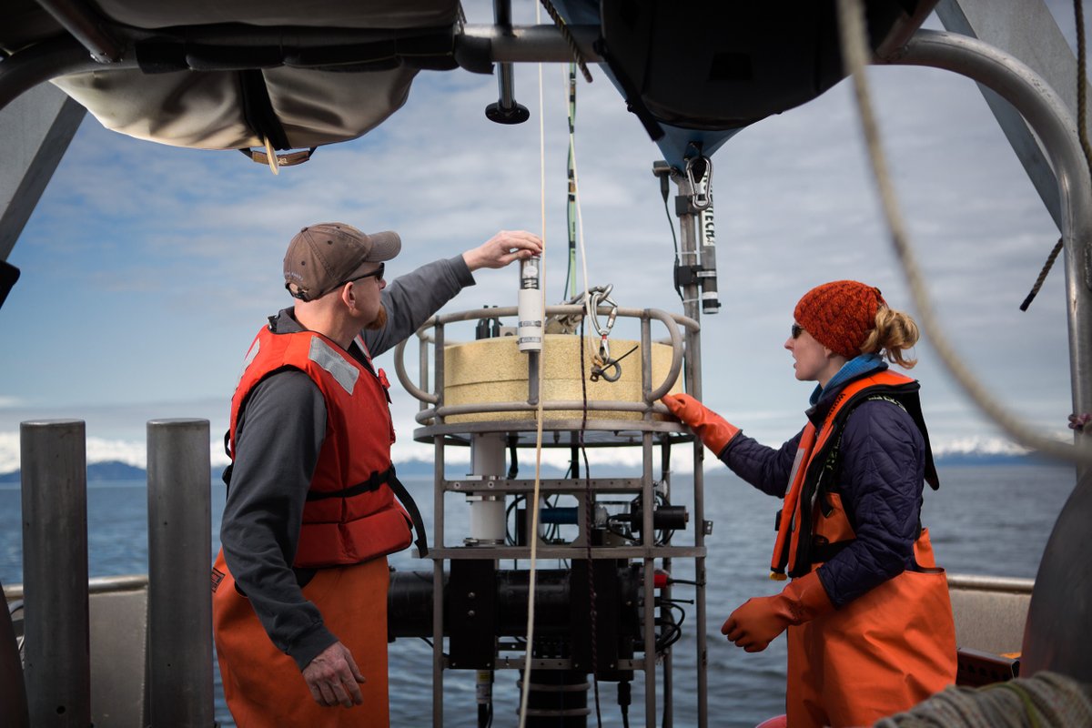 Happy World Oceans Day!! NPRB has been supporting pressing fishery management issues and marine ecosystem needs in the North Pacific for over twenty years. #northpacfic #WorldOceansDay #marinescience #WorldOceansDay2023