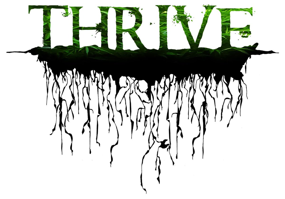 (of a child, animal, or plant) grow or develop well or vigorously.
'the new baby thrived'
prosper; flourish.
'education groups thrive on organization'

#DefiantNM #BEdefiant #Thrivethursday