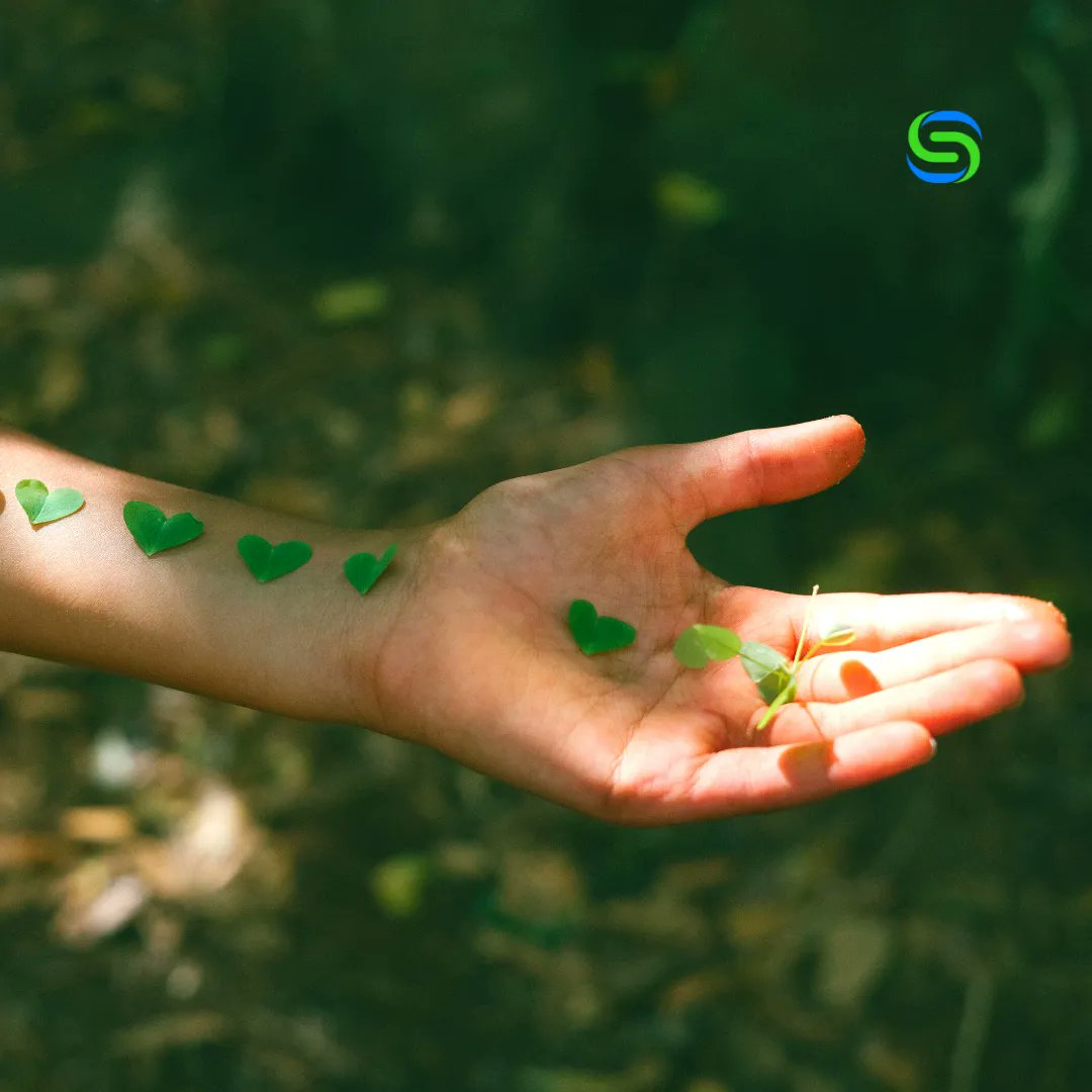 💠Le parole valgono.
Quali sono quindi le responsabilità dei traduttori-comunicatori di oggi?

➨ buff.ly/42ABWYM

#SynergeticHub #bollettinosinergetico #energierinnovabili #renewableenergy #comunicazioneambientale #environmentalcommunication"