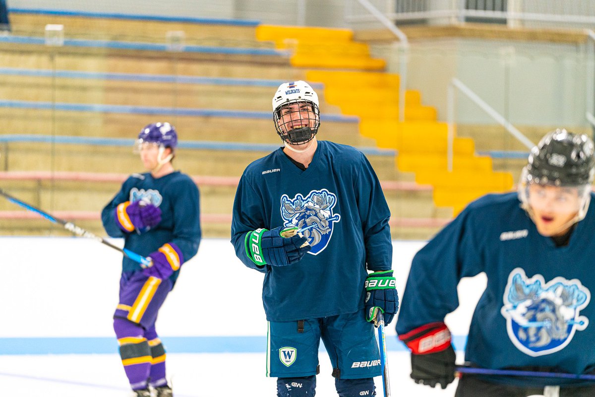 New Hampshire Mountain Kings tweet media
