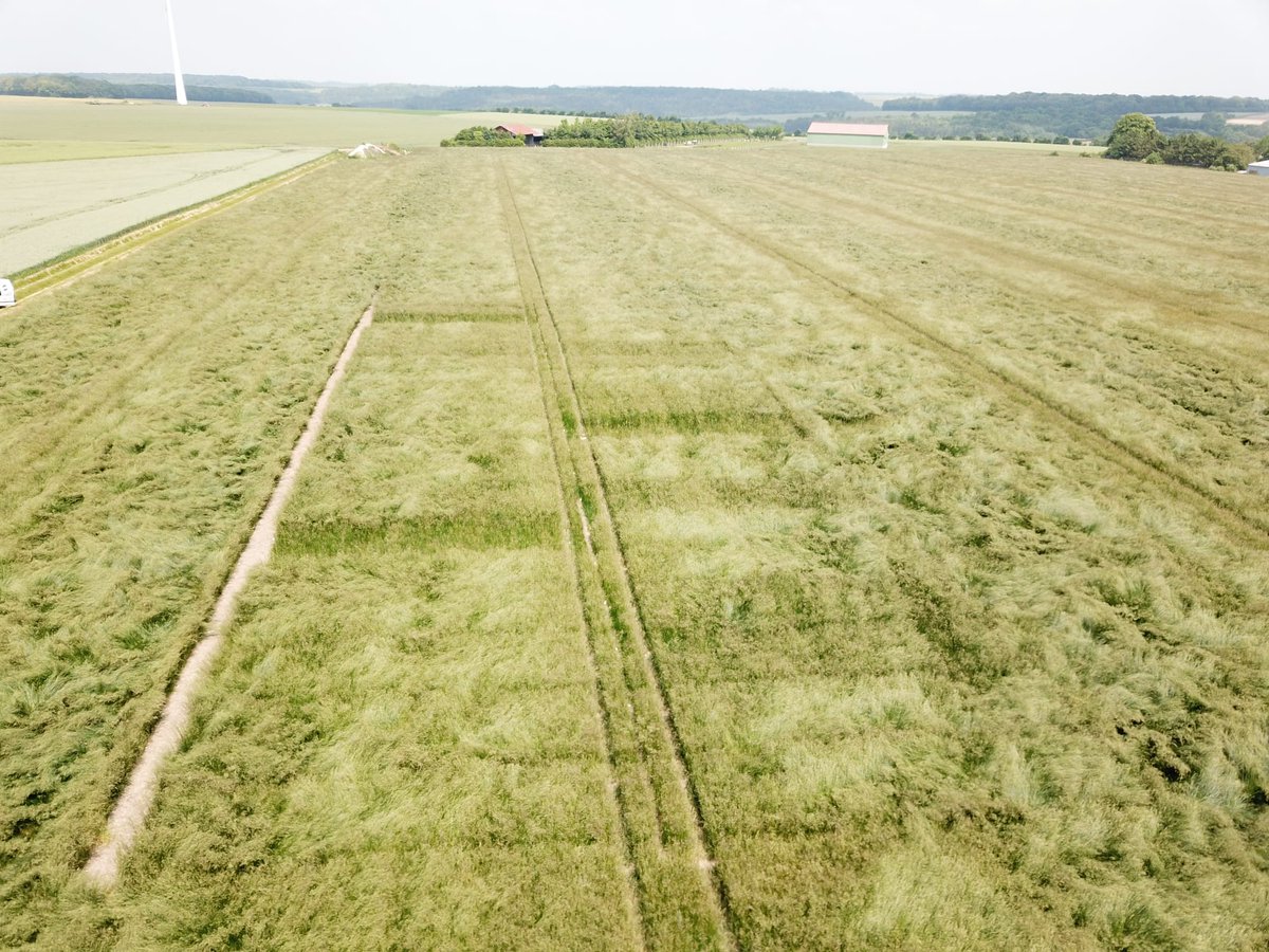 Aujourd'hui #eagleeye était de sortie pour un vol au dessus de quelques uns nos essais

<a href="/noriapcoop/">noriap</a> <a href="/agrosolutions/">Agrosolutions 🔍 💧 🌾 🤝</a> <a href="/EstelleCleuet/">Cleuet Estelle NORIAP</a> <a href="/GuillaumeBOYET/">Guillaume Boyet - NORIAP 🧢</a> <a href="/HubertLecat/">Lecat Hubert NORIAP</a> <a href="/GeraldinePoiret/">Poiret Géraldine</a> <a href="/ReneePREVOST80/">Renée PREVOST (NORIAP)</a> <a href="/SucNicolas/">Suc Nicolas</a> <a href="/laout_vincent/">Vincent Laout</a>