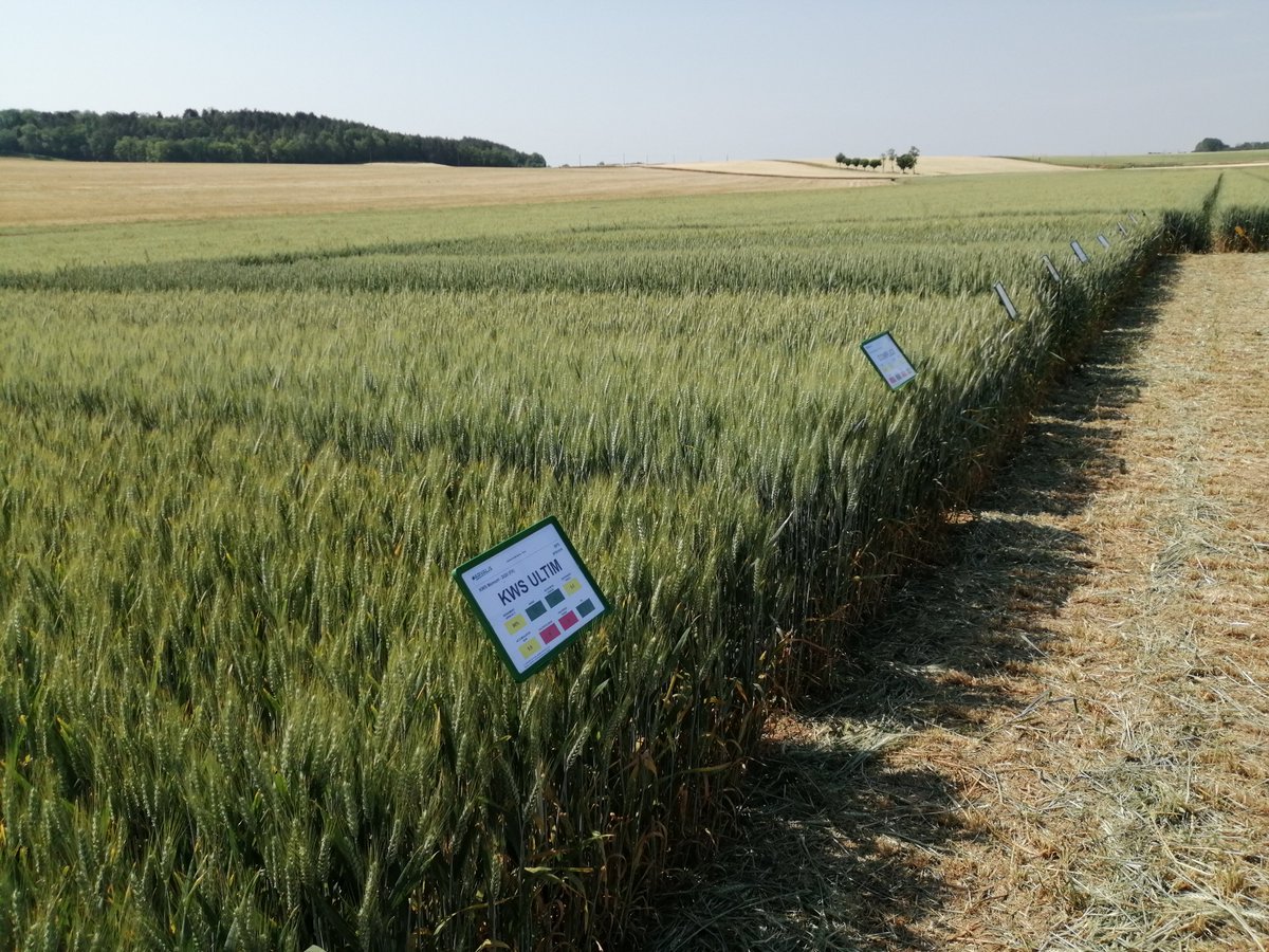 La dream team arvalis de breteniere a assuré cet aprem sur la visite d'essais de Gémeaux (21) : méthodes de fertilisation azotée des bth en ACS + variétés de blé.