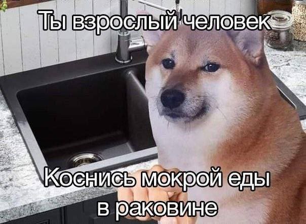 You a grown man

Touch wet food in the sink