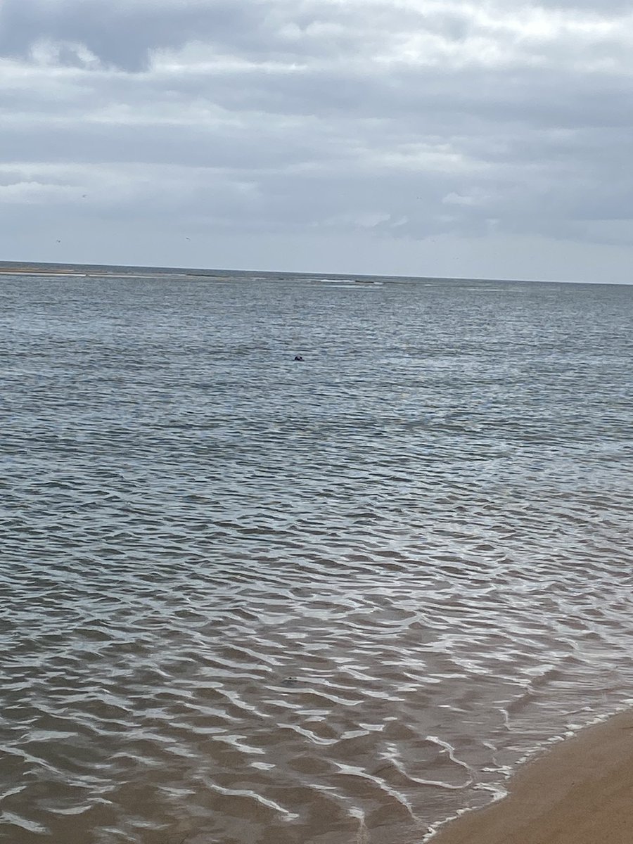 TetzlaffEcoHyd's tweet photo. #WaterOfTheWeek #Ythan Estuary (with head of a seal - need to zoom in) NE Scotland near Aberdeen one of the best known UK estuaries in terms of its ecology with @NRI_Abdn @LeibnizIGB @HumboldtUni just breathtaking https://t.co/ueHgkaQ22W