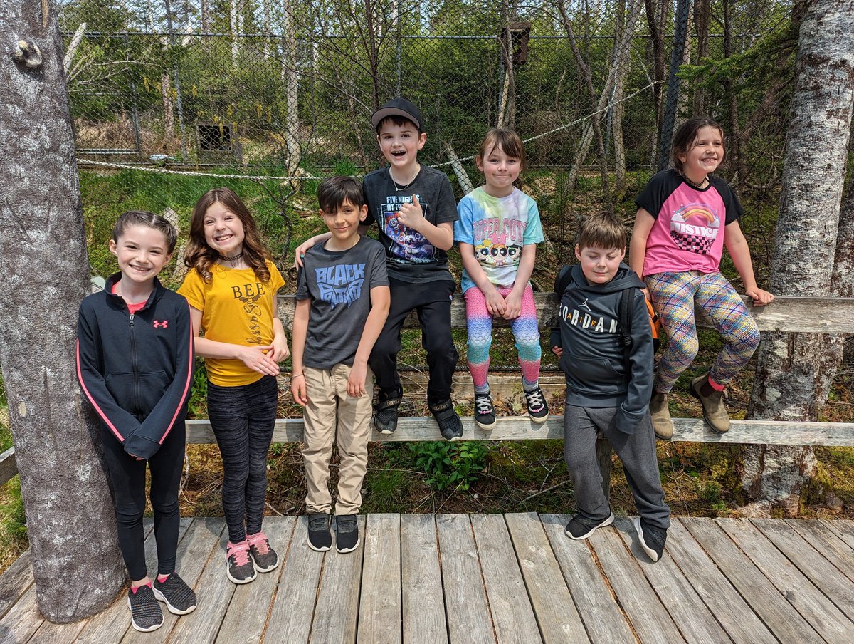 Ashley Fitzgerald tweet media