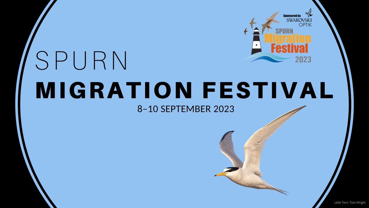 With only 3 months until #MigFest2023 tickets are selling fast. Our 10th MigFest promises to be the best yet! Order your tickets now before it's too late!
buff.ly/43TpB2U @_BTO @SwarovskiOptik @YCNature @sachadench @C_no_borders @StephenMenzie @britishbirds @Natures_Voice