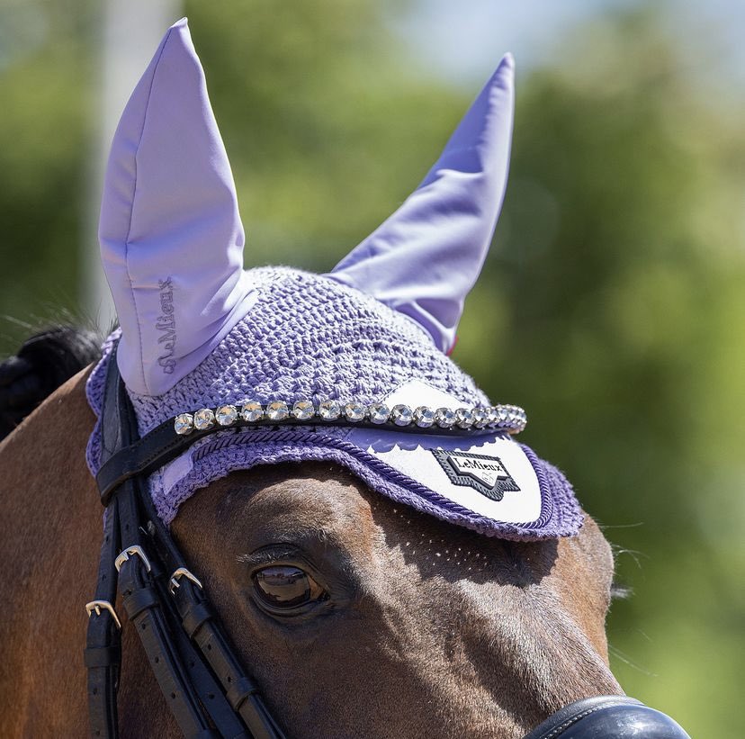 We are of the opinion that purples are our favourite summer colour! Check out LeMieux’s NEW Wisteria colour, available both online &amp; in-store now!💜💁‍♀️