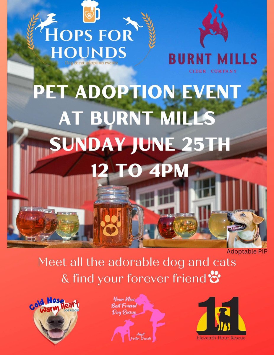 Really cool 😎 UPCOMING EVENTS! 
#adoptionevents
#adoptabledogs
#adoptablepuppies
#adoptablecats
#adoptablekittens