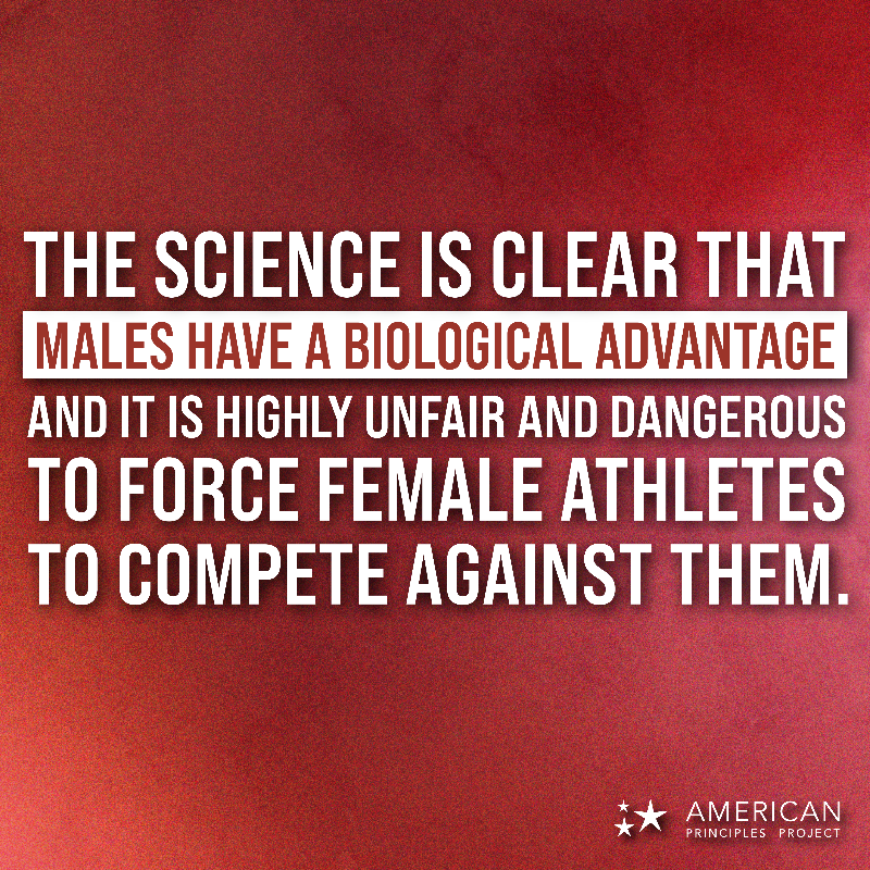 American Principles Project tweet media