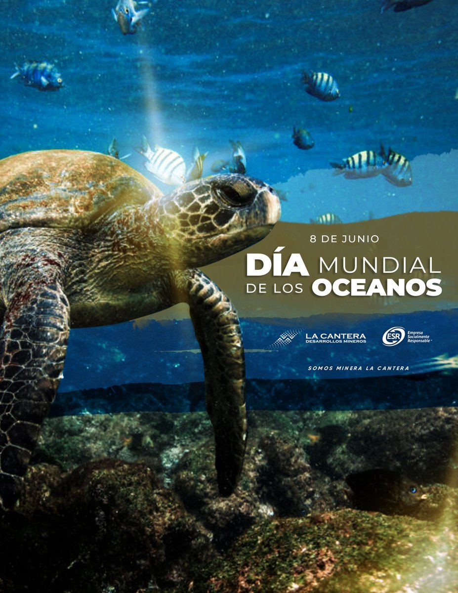 Hoy celebramos el Día Mundial de los Océanos. 🌊 
Es momento de reflexionar sobre la importancia de estos ecosistemas para nuestro planeta y tomar acciones para su conservación. Juntos podemos marcar la diferencia y proteger la vida marina.