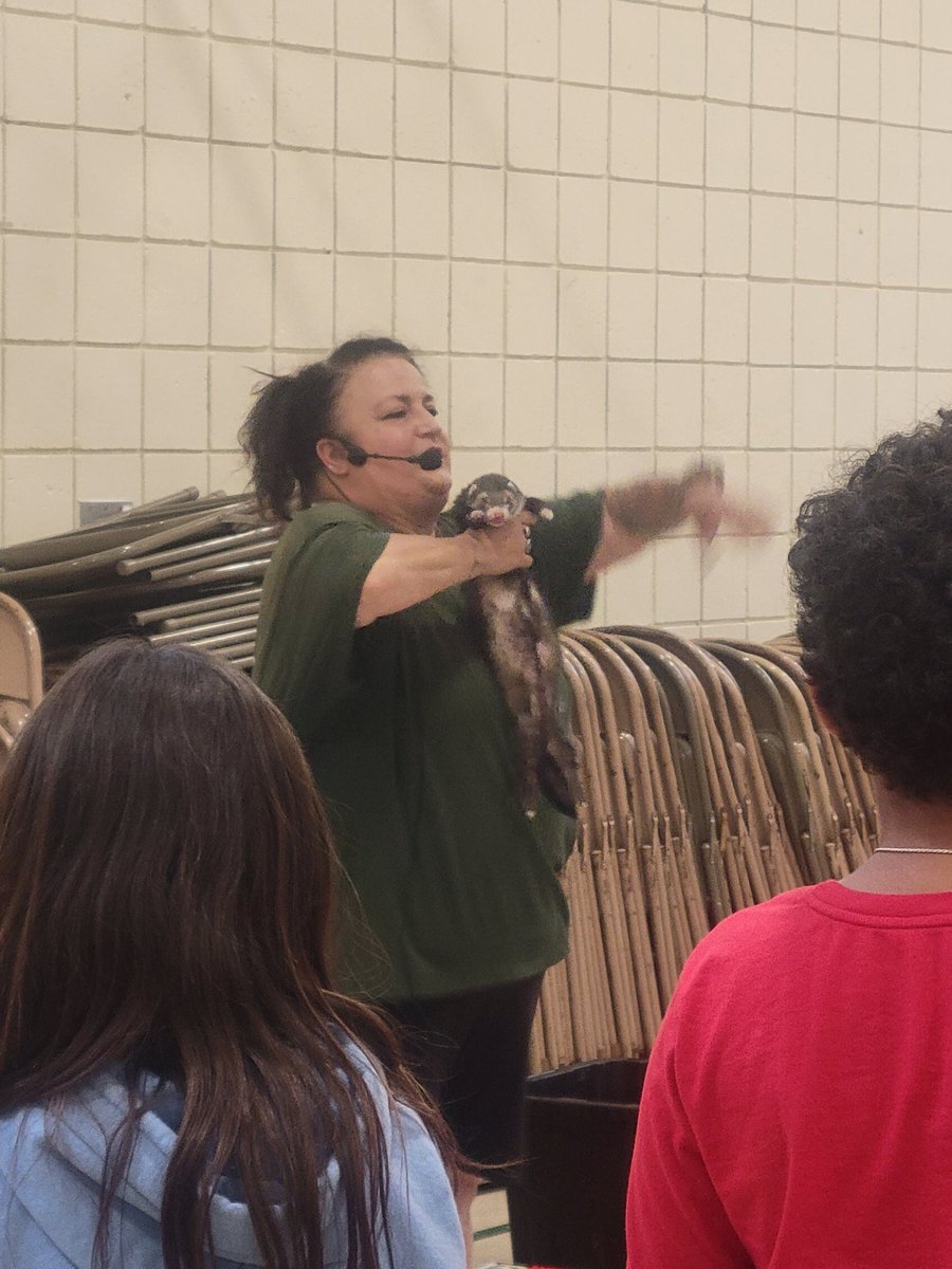 Grade 4 enjoyed learning about &amp; touching some animals. We had a chinchilla, alligator, ferret, python, turtle &amp; gecko. Thank you Animal Adventures! <a href="/BartonPto/">Clara Barton PTO</a> @FreudenthalMary <a href="/mayos4dayos/">Kim Mayo</a>