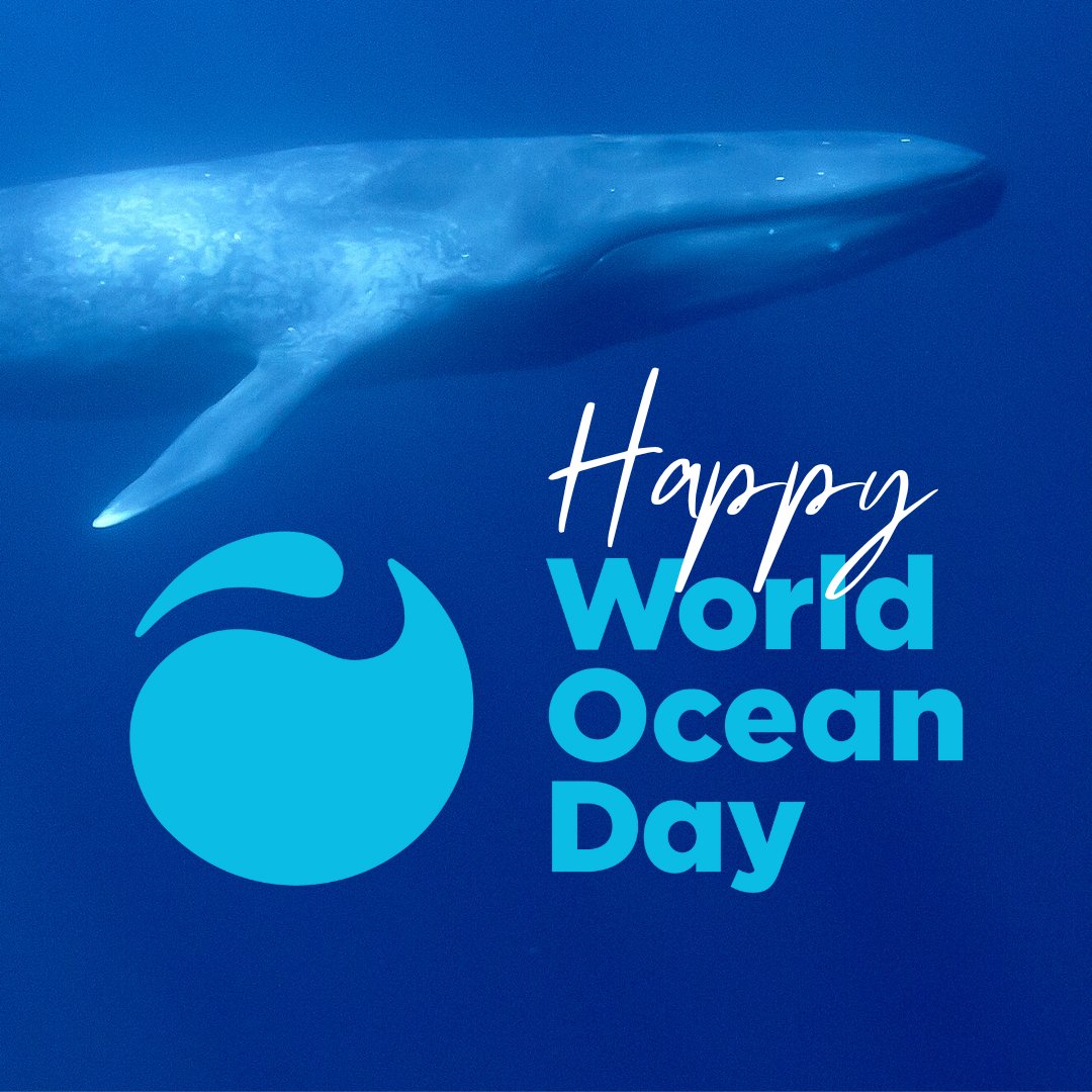 This #WorldOceanDay let’s show and grow support for the movement to protect at least 30% of our blue planet by 2030. Together we can turn the tide, curb the climate crisis and protect biodiversity worldwide.

worldoceanday.org

#ClimateEmergency #MarineConservation #Oceans