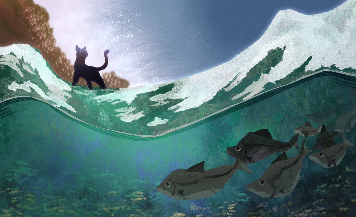 harriertail's tweet image. riverclan's territory