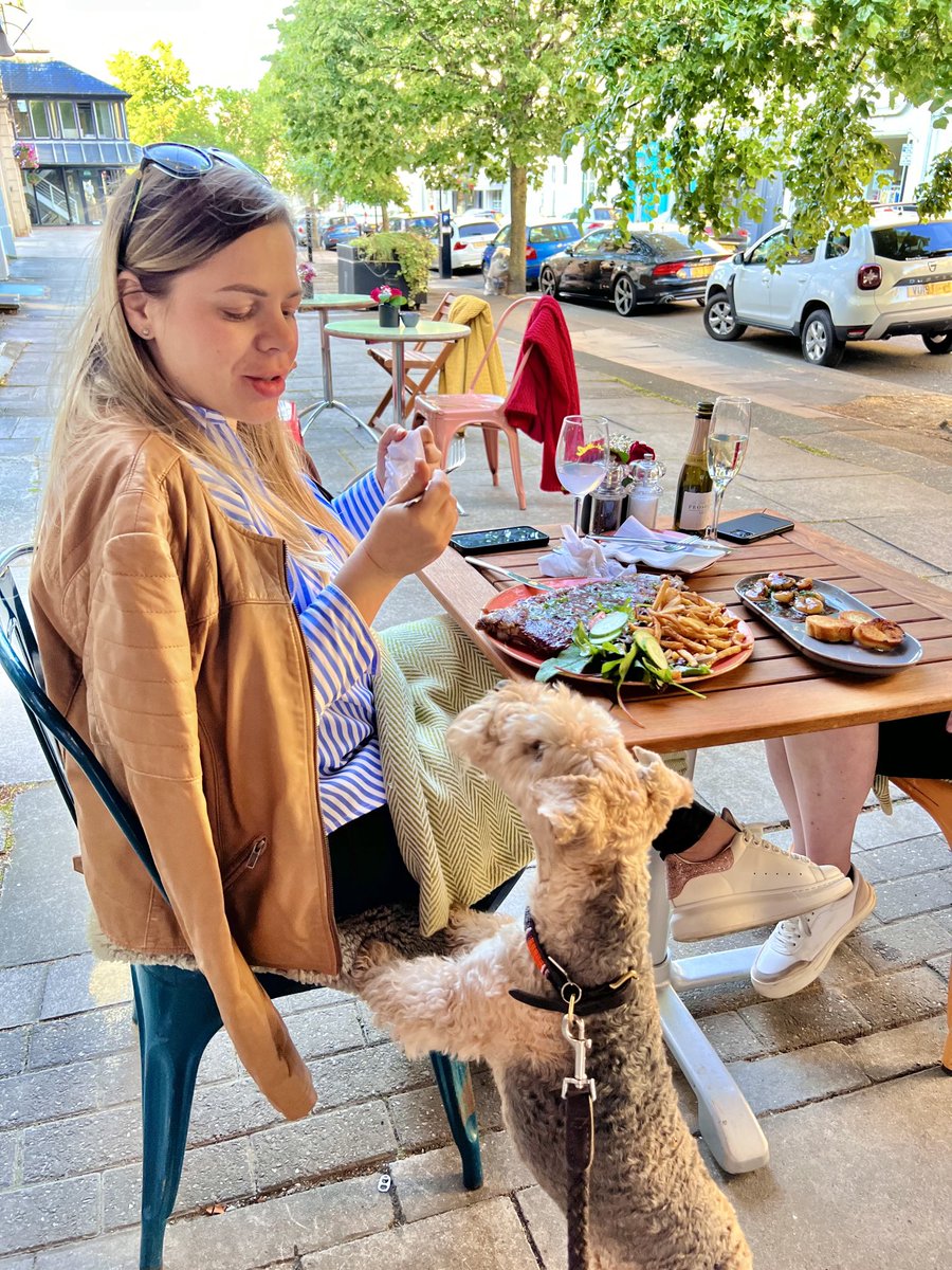 bertie_lakeland's tweet photo. Just chatting to my pal Andrada who has ….. RIBS 💋 https://t.co/5Dk31fN0Md