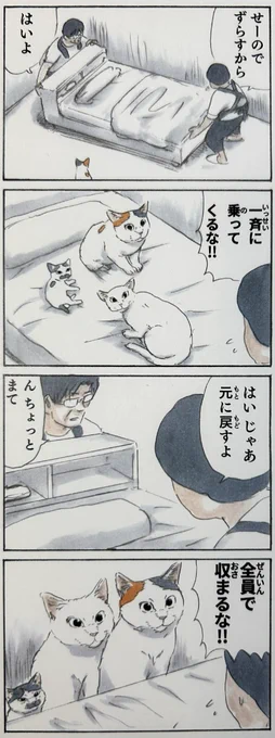 『特選拾い猫のモチャ』6