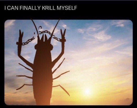 shrimp prawn breaking shackles around wrists in sunset I can finally krill myself