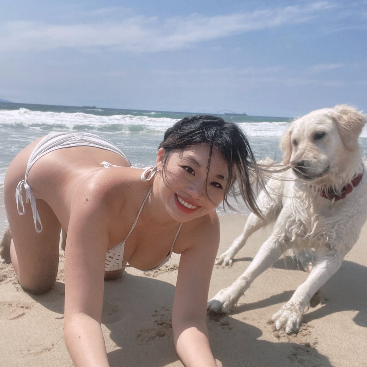 kichike on Twitter: "Happy puppy happy life 🐶"