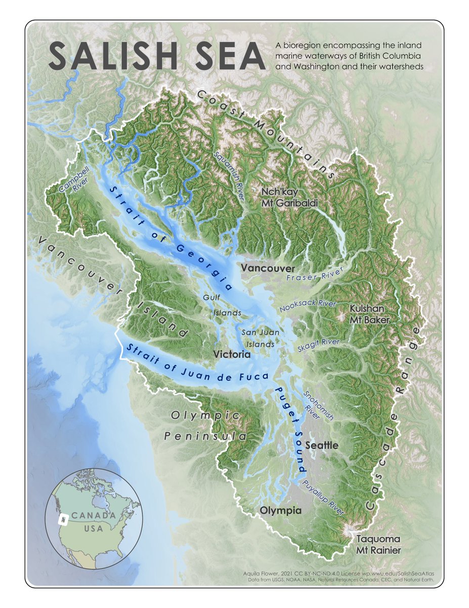 AquilaFlower's tweet photo. Happy #WorldOceansDay from the Salish Sea, a transboundary estuarine ecosystem connected to the northeast Pacific Ocean! You can learn more about the #SalishSea and its surrounding #bioregion in the Salish Sea Atlas: https://t.co/MUGhuG7g0u https://t.co/0SPOeS0oxZ
