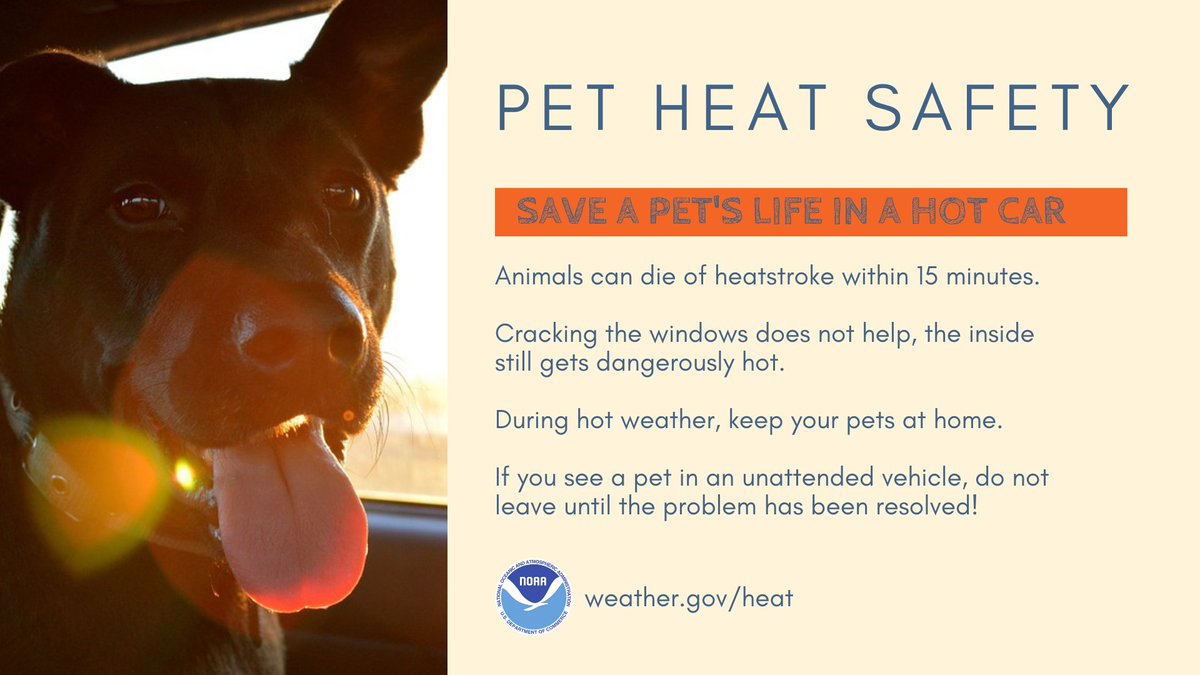 As temperatures heat up, don't forget about your pets! Animals can die of heatstroke within 15 minutes, and cracking the car windows doesn’t help. NEVER leave your pets in parked vehicles. #HeatSafety