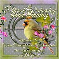 Playtime__Prod's tweet image. Have a beautiful day!
#blessedwednesday #goodmorning #femalecardinal