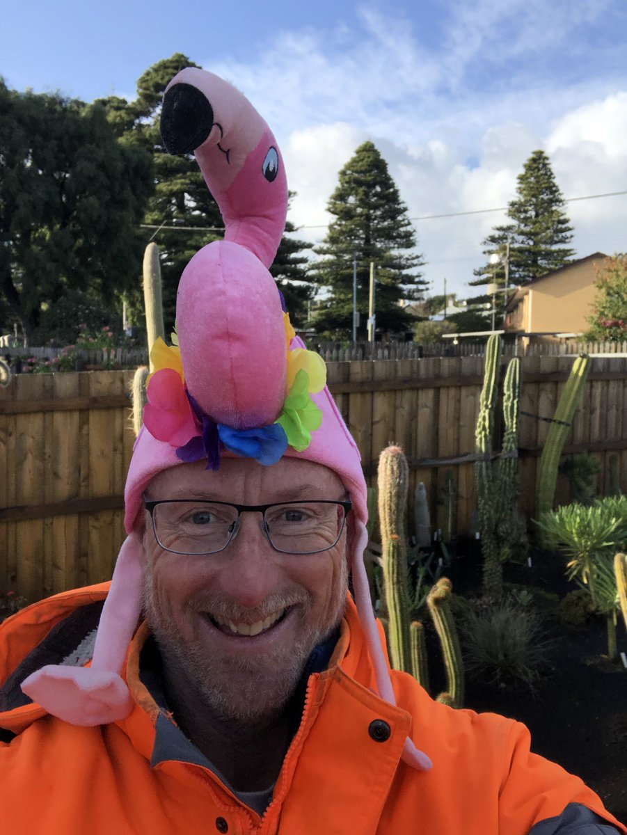 Bundogs's tweet image. Happy Flamingo 🦩 Friday for those playing at home 🤓
🦩 was at the pool early and I have discovered a perfect carry case for him/her 😉
Fresh start to the day here so head protection was called for 🦩🤡
Also rocking the tradie 🦩 undies 😚👌 #flamingofriday #fullycommitted