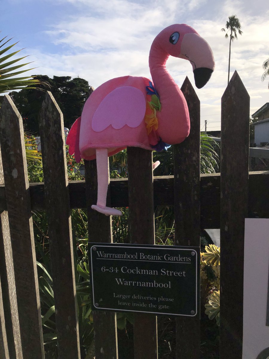 Bundogs's tweet image. Happy Flamingo 🦩 Friday for those playing at home 🤓
🦩 was at the pool early and I have discovered a perfect carry case for him/her 😉
Fresh start to the day here so head protection was called for 🦩🤡
Also rocking the tradie 🦩 undies 😚👌 #flamingofriday #fullycommitted